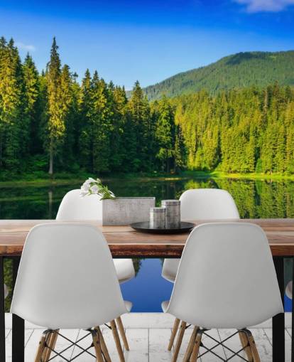 Decorazione murale con lago e foresta