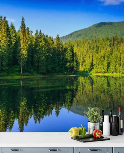 Mural de pared Lago y bosque