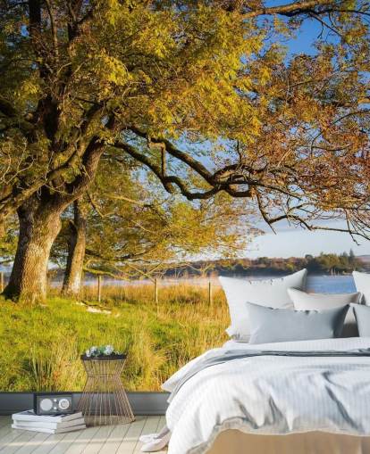 Lake and Tree Wallpaper Lake and Tree Wallpaper