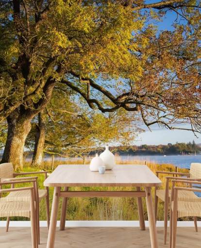 Behang met meer en bomen Behang met meer en bomen