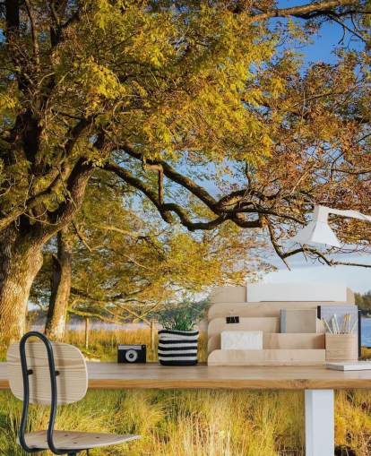 Lake and Tree Wallpaper Lake and Tree Wallpaper