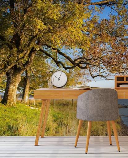 Fondo de pantalla de lago y árbol Fondo de pantalla de lago y árbol