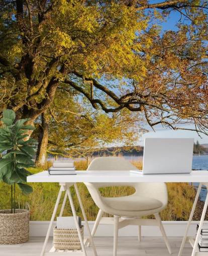 Fondo de pantalla de lago y árbol