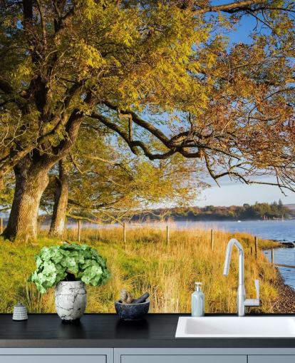 Behang met meer en bomen Behang met meer en bomen