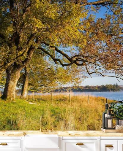 Fondo de pantalla de lago y árbol