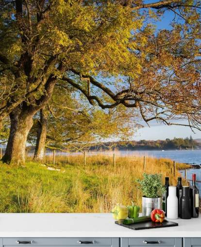 Behang met meer en bomen