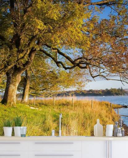 Behang met meer en bomen