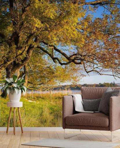 See und Baum-Tapete See und Baum-Tapete