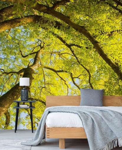 green tree wall mural called Canopy by Phil McMenemy for bedrooms, living rooms and home offices