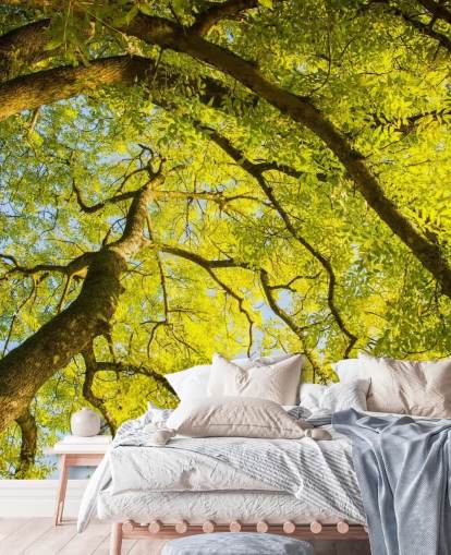 green tree wall mural called Canopy by Phil McMenemy for bedrooms, living rooms and home offices