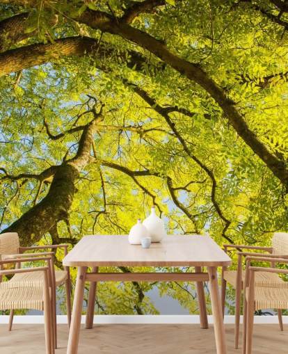 green tree wall mural called Canopy by Phil McMenemy for bedrooms, living rooms and home offices