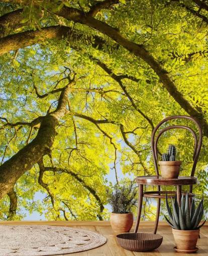 murale con albero verde chiamato Canopy di Phil McMenemy per camere da letto, salotti e uffici domestici murale con albero verde chiamato Canopy di Phil McMenemy per camere da letto, salotti e uffici domestici