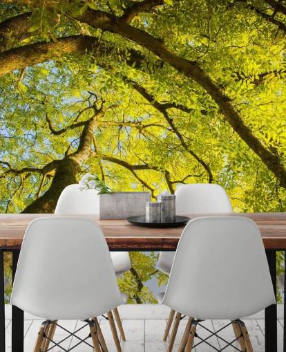 mural de pared de árbol verde llamado Canopy de Phil McMenemy para dormitorios, salas de estar y oficinas en casa