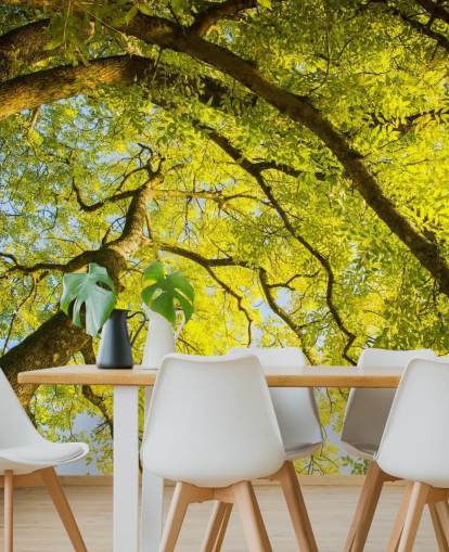 green tree wall mural called Canopy by Phil McMenemy for bedrooms, living rooms and home offices