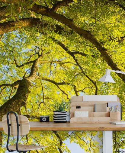 mural de pared de árbol verde llamado Canopy de Phil McMenemy para dormitorios, salas de estar y oficinas en casa
