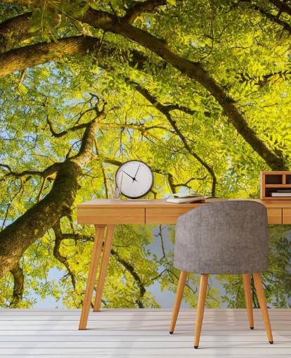 green tree wall mural called Canopy by Phil McMenemy for bedrooms, living rooms and home offices