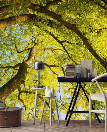 mural de pared de árbol verde llamado Canopy de Phil McMenemy para dormitorios, salas de estar y oficinas en casa mural de pared de árbol verde llamado Canopy de Phil McMenemy para dormitorios, salas de estar y oficinas en casa
