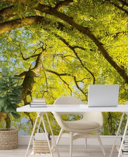 fresque murale en forme d'arbre vert appelée Canopy par Phil McMenemy pour les chambres à coucher, les salons et les bureaux à domicile