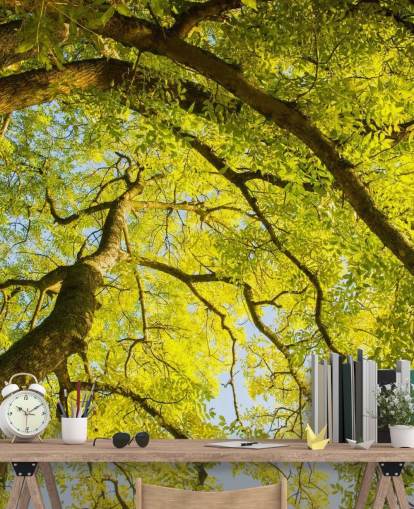 green tree wall mural called Canopy by Phil McMenemy for bedrooms, living rooms and home offices