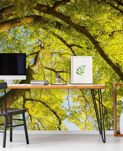 green tree wall mural called Canopy by Phil McMenemy for bedrooms, living rooms and home offices green tree wall mural called Canopy by Phil McMenemy for bedrooms, living rooms and home offices