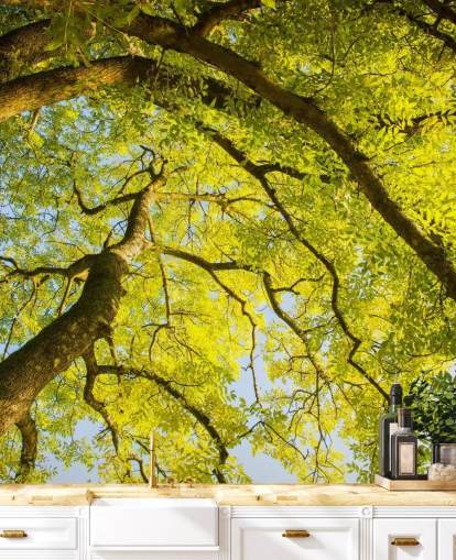 Wandbild mit grünem Baum namens Canopy von Phil McMenemy für Schlafzimmer, Wohnzimmer und Heimbüros