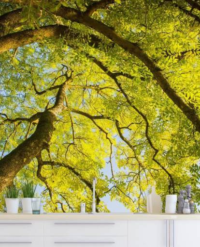 Phil McMenemyn vihreä puu -seinämaalaus nimeltä Canopy makuuhuoneisiin, olohuoneisiin ja kotitoimistoihin Phil McMenemyn vihreä puu -seinämaalaus nimeltä Canopy makuuhuoneisiin, olohuoneisiin ja kotitoimistoihin