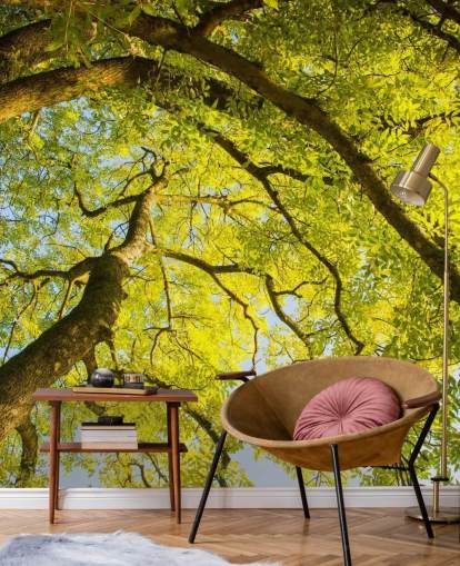 murale con albero verde chiamato Canopy di Phil McMenemy per camere da letto, salotti e uffici domestici