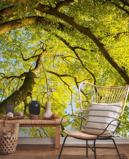 green tree wall mural called Canopy by Phil McMenemy for bedrooms, living rooms and home offices green tree wall mural called Canopy by Phil McMenemy for bedrooms, living rooms and home offices