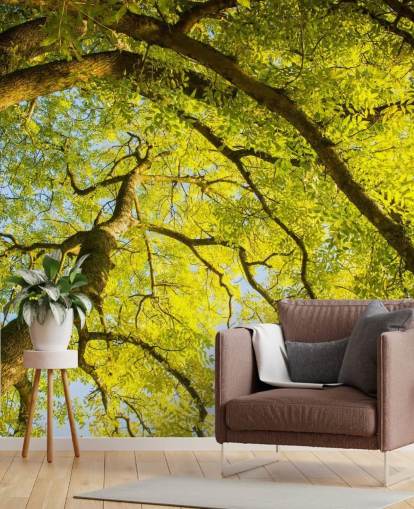 murale con albero verde chiamato Canopy di Phil McMenemy per camere da letto, salotti e uffici domestici