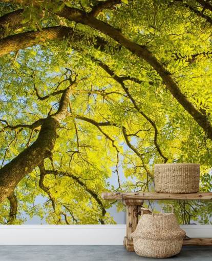 mural de pared de árbol verde llamado Canopy de Phil McMenemy para dormitorios, salas de estar y oficinas en casa
