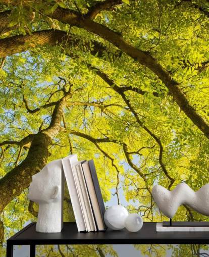 green tree wall mural called Canopy by Phil McMenemy for bedrooms, living rooms and home offices