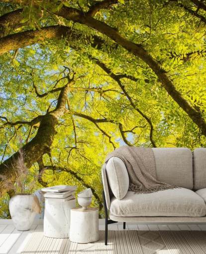 green tree wall mural called Canopy by Phil McMenemy for bedrooms, living rooms and home offices green tree wall mural called Canopy by Phil McMenemy for bedrooms, living rooms and home offices