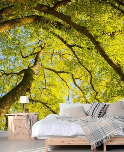 green tree wall mural called Canopy by Phil McMenemy for bedrooms, living rooms and home offices