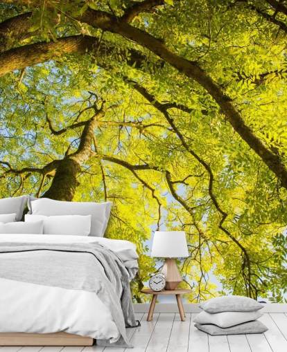 mural de pared de árbol verde llamado Canopy de Phil McMenemy para dormitorios, salas de estar y oficinas en casa mural de pared de árbol verde llamado Canopy de Phil McMenemy para dormitorios, salas de estar y oficinas en casa