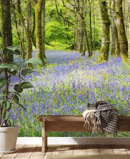 blue and green custom forest wallpaper mural called Into the Blue by Phil McMenemy for living rooms blue and green custom forest wallpaper mural called Into the Blue by Phil McMenemy for living rooms