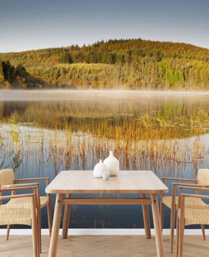 Grassy Lake Wall Mural