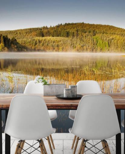 Ruohoinen järven seinämaalaus Ruohoinen järven seinämaalaus