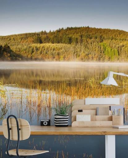 Ruohoinen järven seinämaalaus