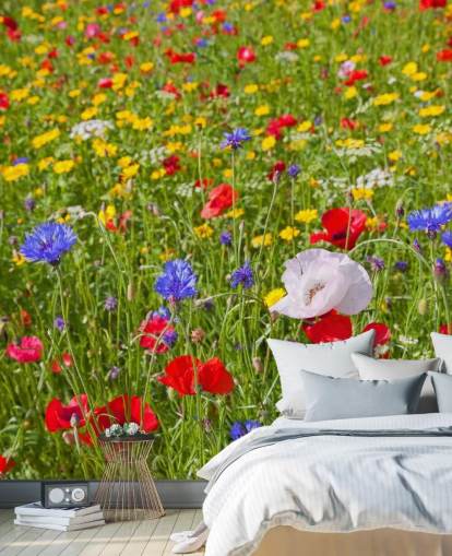 Colourful Meadow Flowers Wallpaper