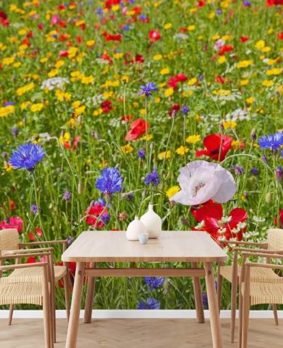 Färgglada ängblommor Bakgrund Färgglada ängblommor Bakgrund