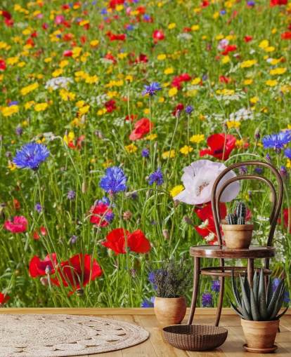 Colourful Meadow Flowers Wallpaper