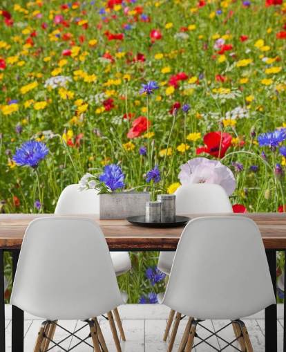 Fargerike eng blomster Bakgrunn Fargerike eng blomster Bakgrunn