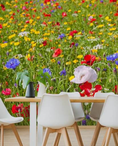 Farverige Meadow Blomster Baggrund Farverige Meadow Blomster Baggrund