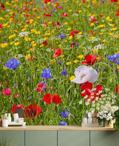 Colourful Meadow Flowers Wallpaper