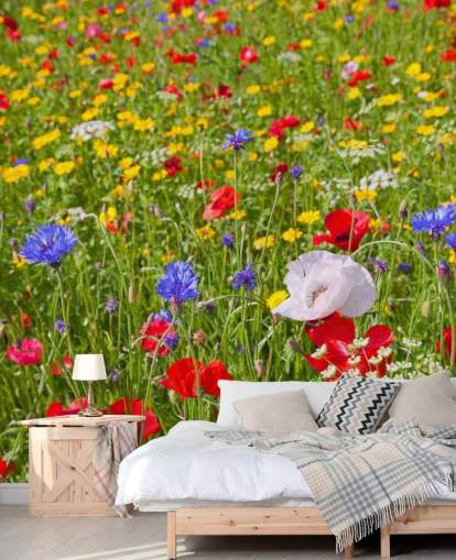 Fargerike eng blomster Bakgrunn Fargerike eng blomster Bakgrunn