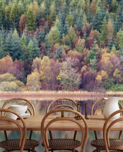 Autumn Forest Lake Wallpaper