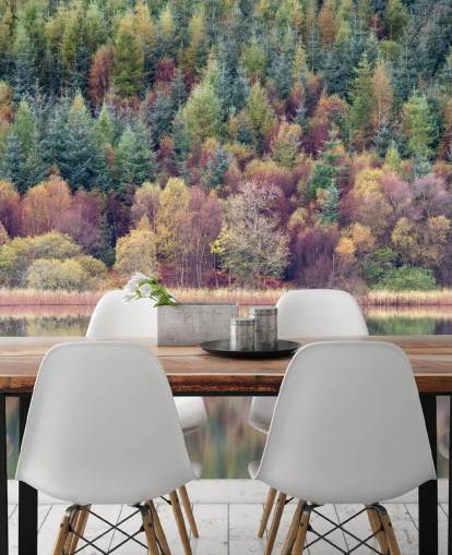 Autumn Forest Lake Behang
