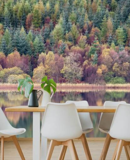 Papel de Parede Outono Forest Lake