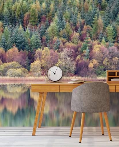 Autumn Forest Lake Wallpaper