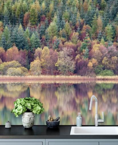 Fondo de pantalla de otoño Forest Lake